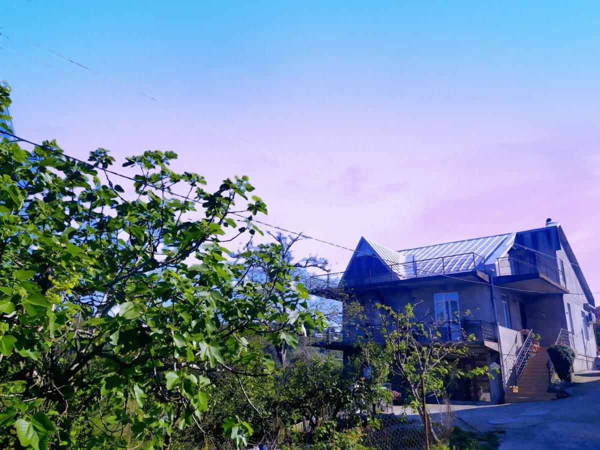 53 Jincharadze Street Makhinjauri, Batumi Βίλα Εξωτερικό φωτογραφία